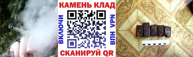 ГАШ гарик Светогорск