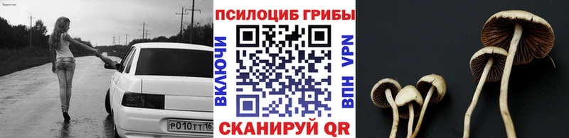 mega маркетплейс  Светогорск  Галлюциногенные грибы прущие грибы 