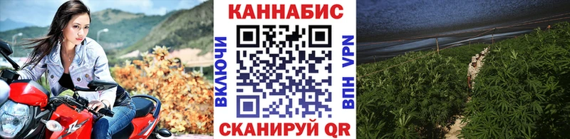 Канабис конопля  купить наркотики цена  Светогорск 